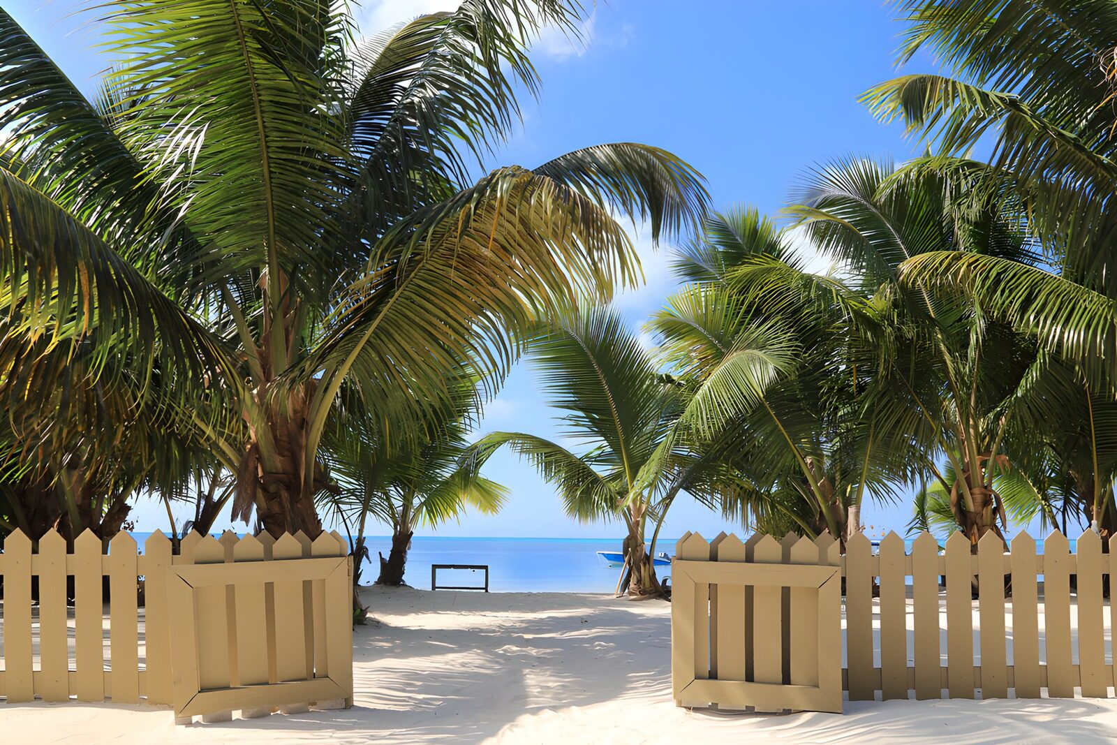 TP98652: Tropisch Paradijs met Palmbomen