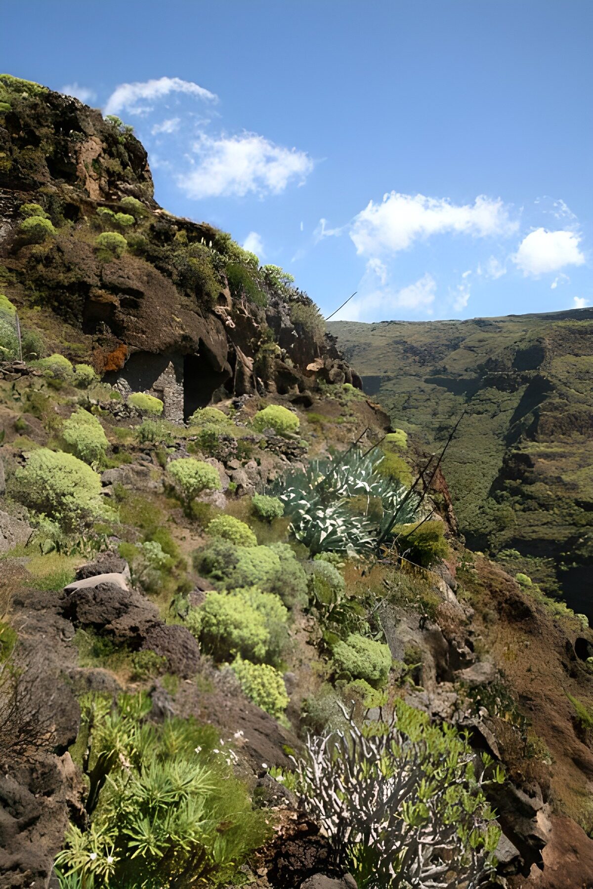 TP38918: La Gomera 28