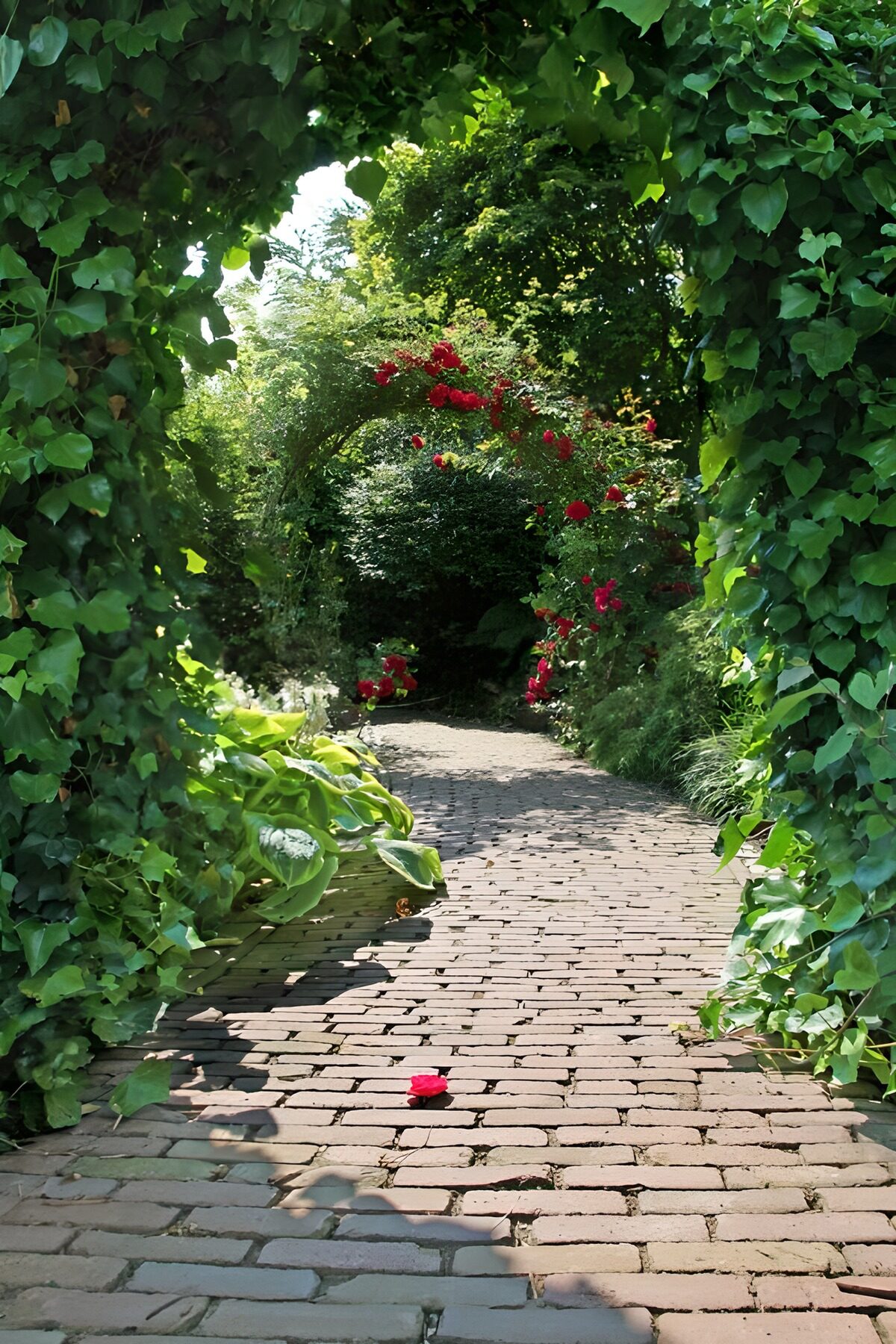 TP89030: Bloemenboog in een groene tuin