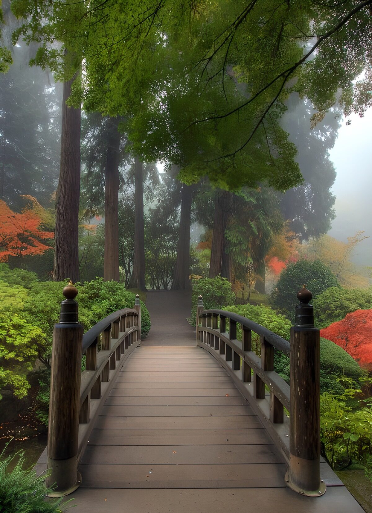 TP41706: Bruggetje in Japanse tuin