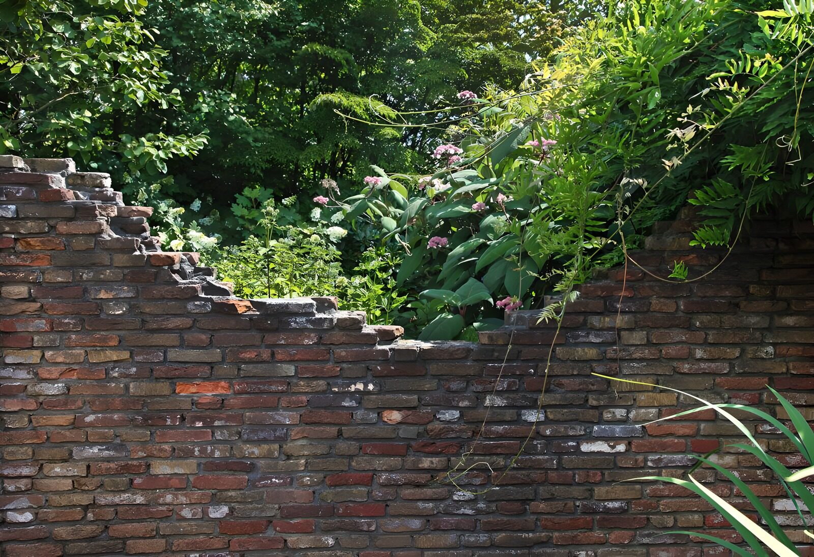 TP36767: Verloorde Muur met Groene Omslag