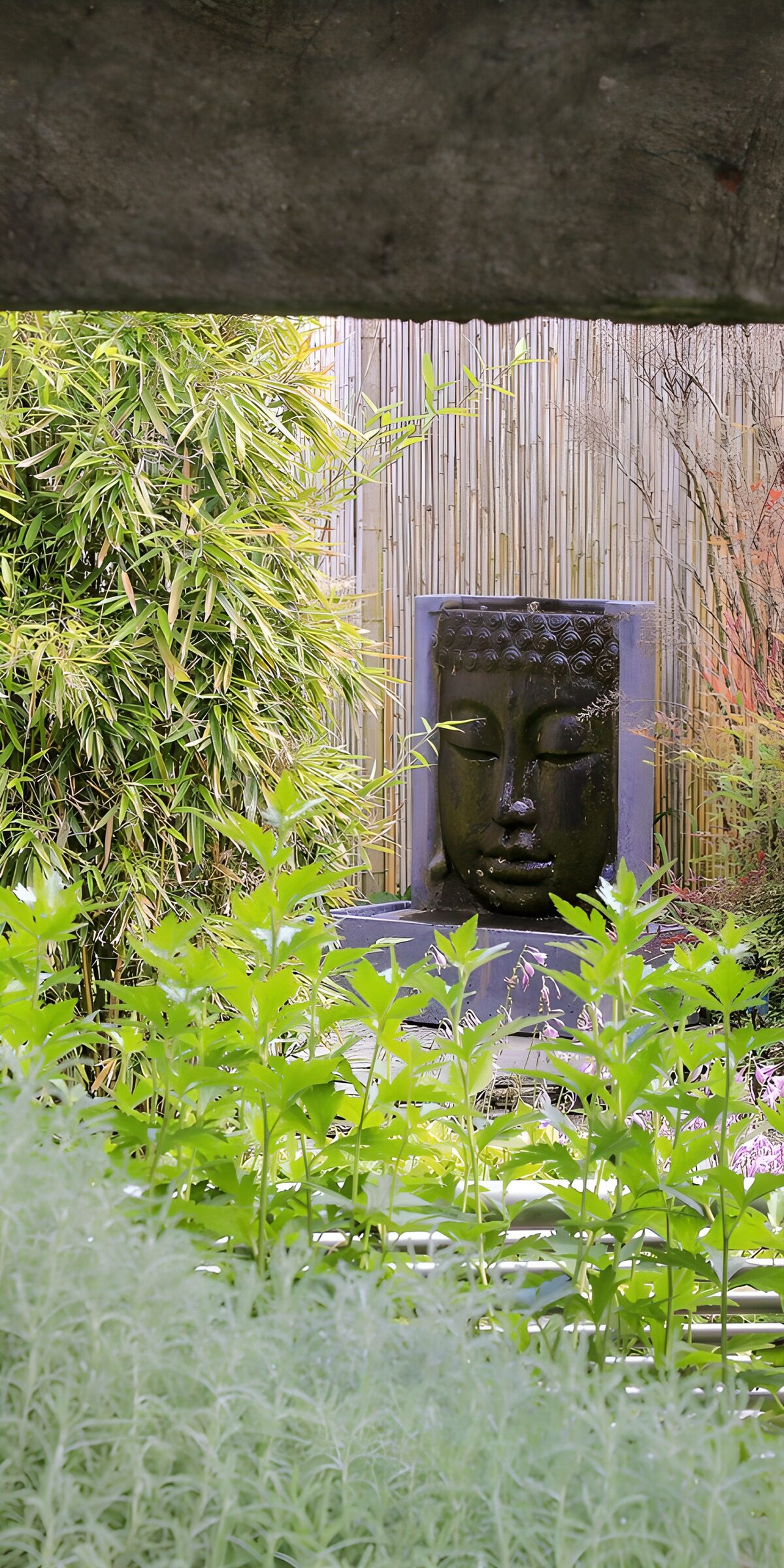 TP40862: Meditatie in de tuin