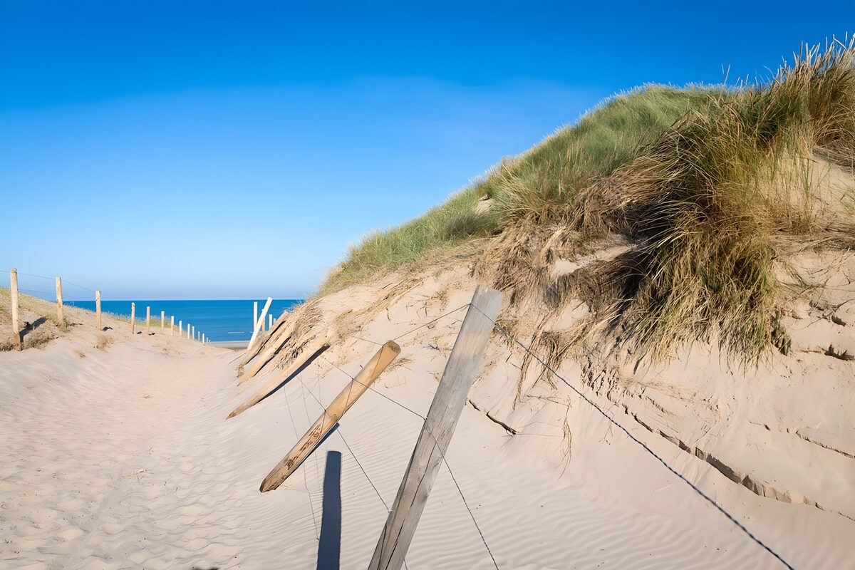 TP36739: Zandpad naar zee in Bergen aan zee 2
