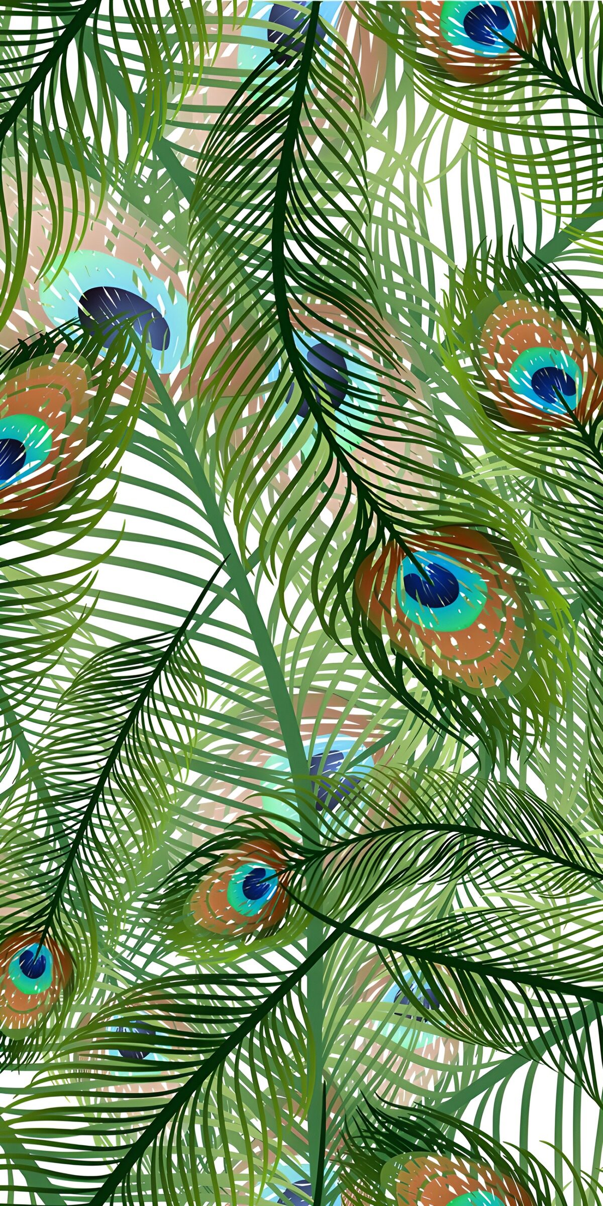 Prachtige veren en kleuren