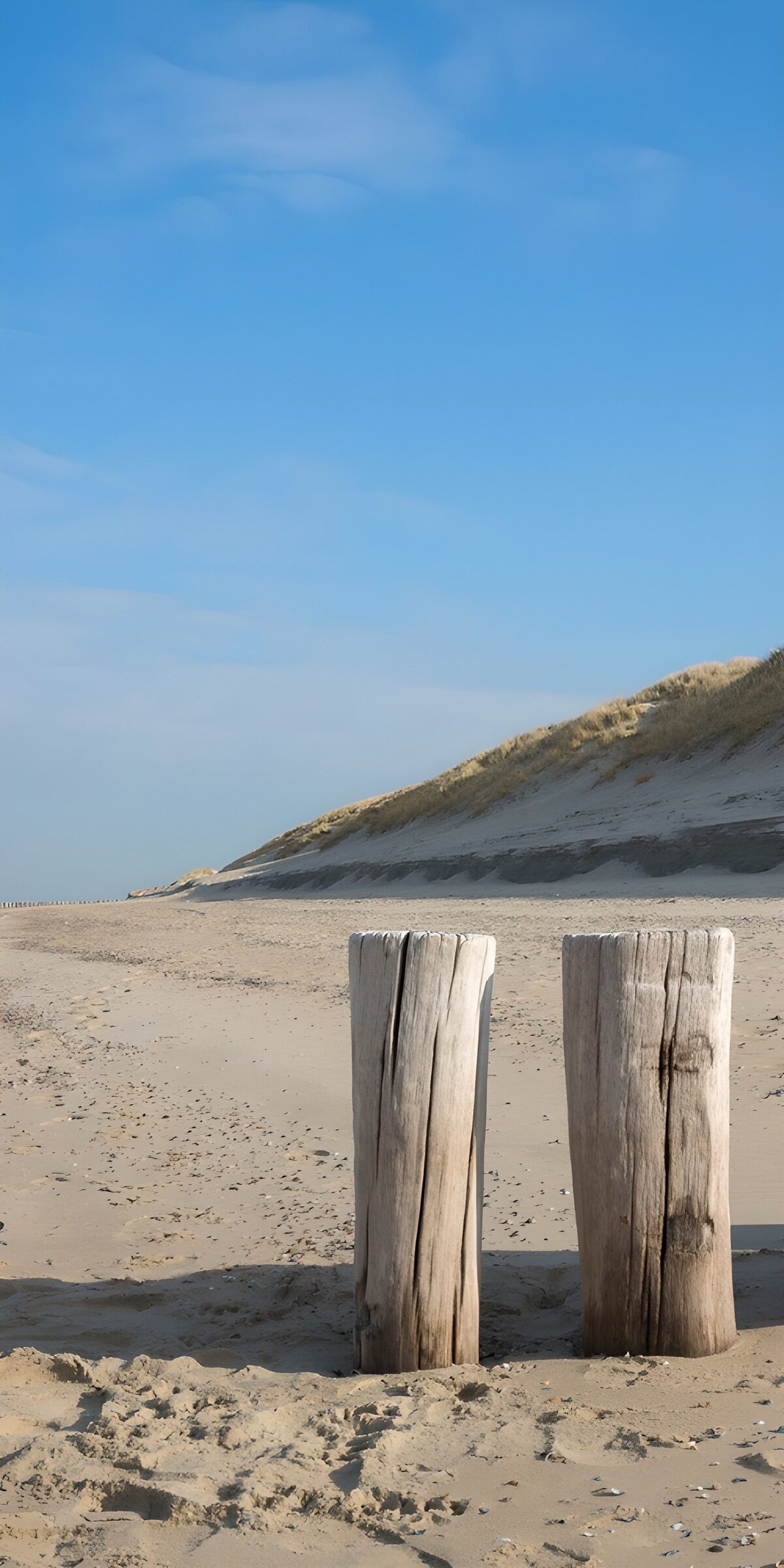 TP60097: Houten palen op het strand