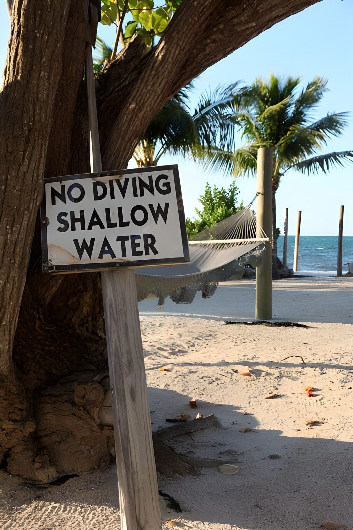 Palmbomen op strand met bordje No Diving Shallow Water
