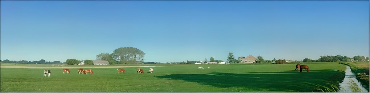 Hollandse Graslandschappen 5