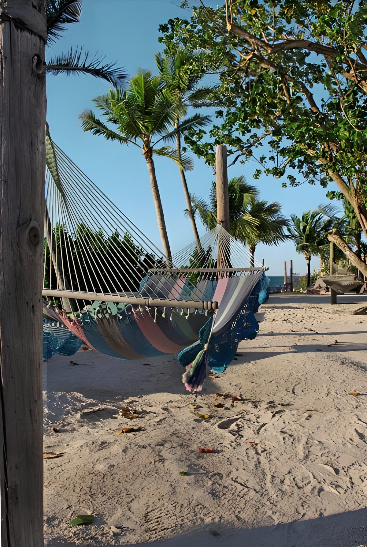 Hangmat tussen twee palmbomen