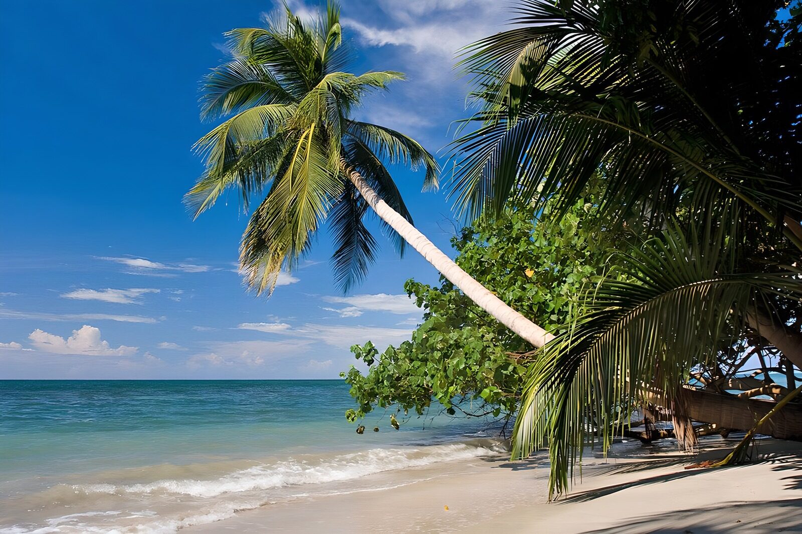 TP28584: Tropisch paradijs aan het strand