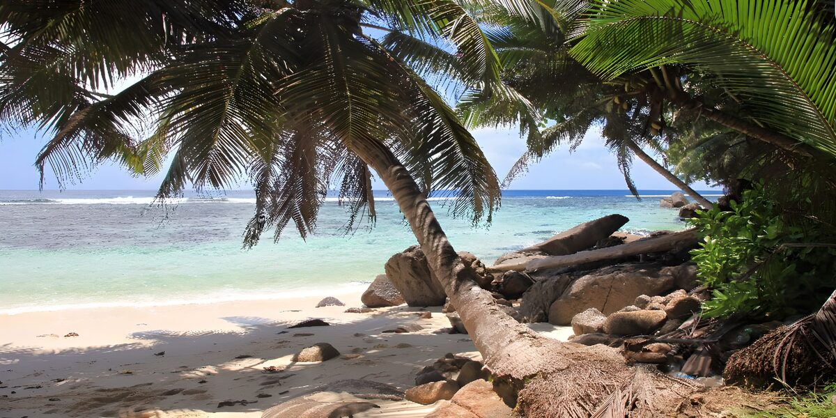 TP25787: Tropisch Paradijs aan het Strand