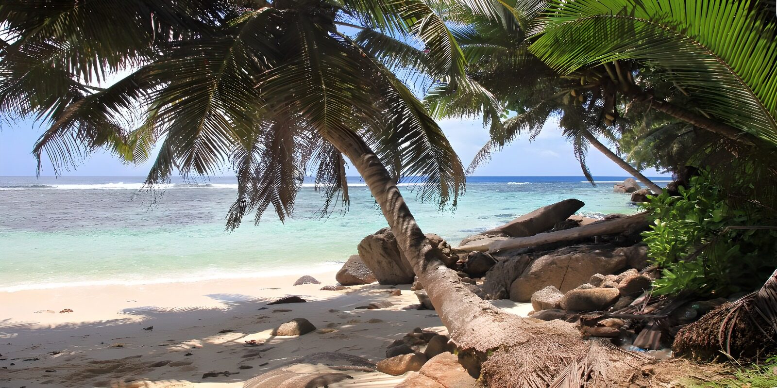 TP25787: Tropisch Paradijs aan het Strand