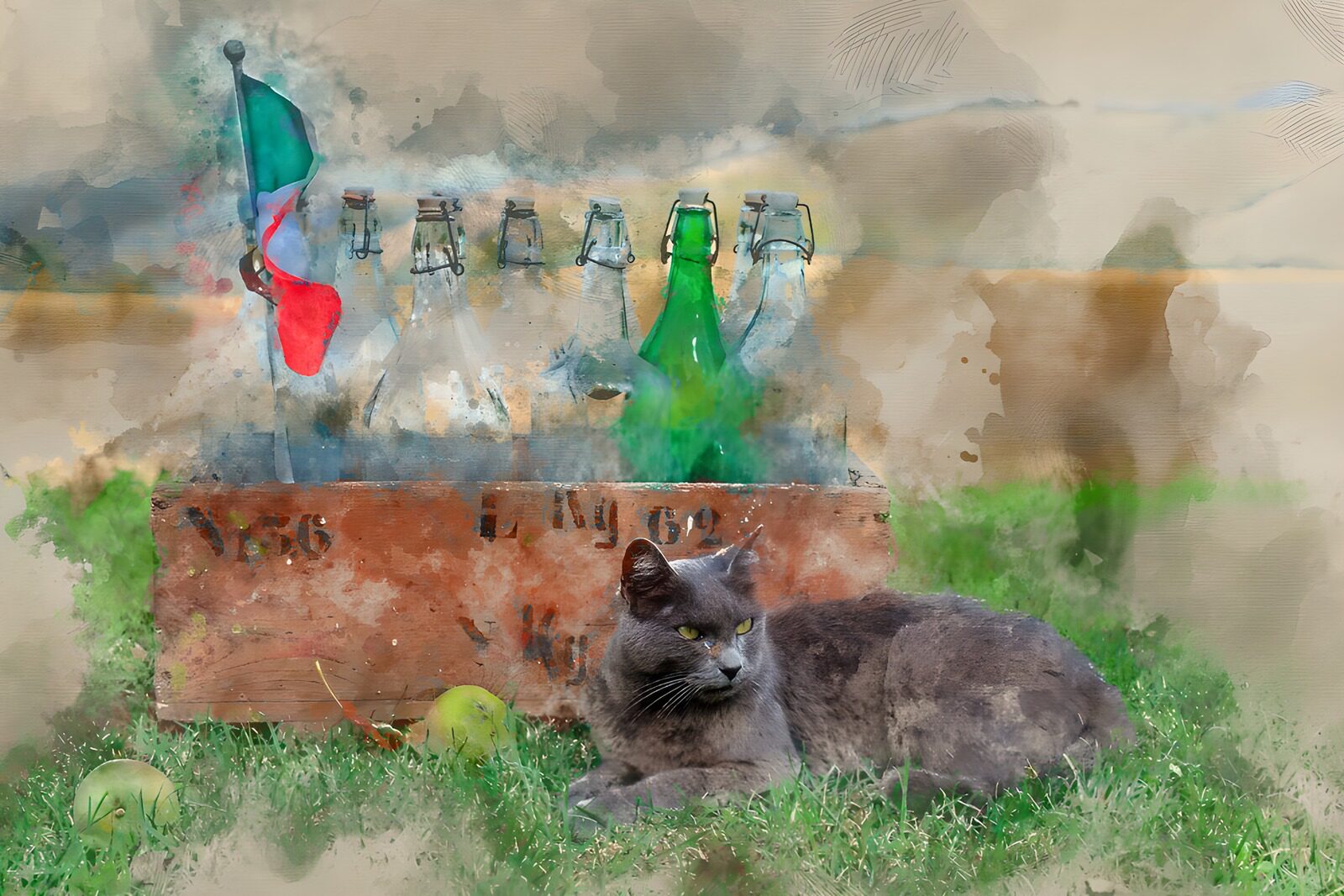 TP55699: Grijze kat tussen flessen en appels