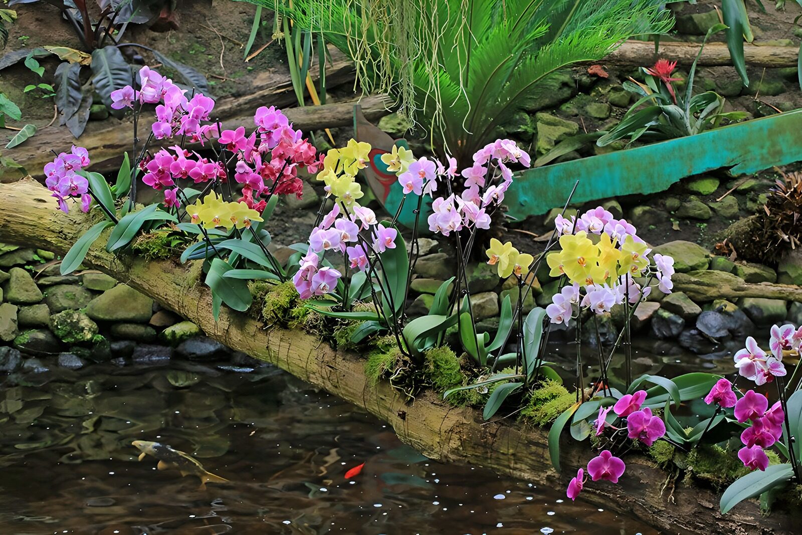 TP97393: Boomstam over water met begroeit met orchideen