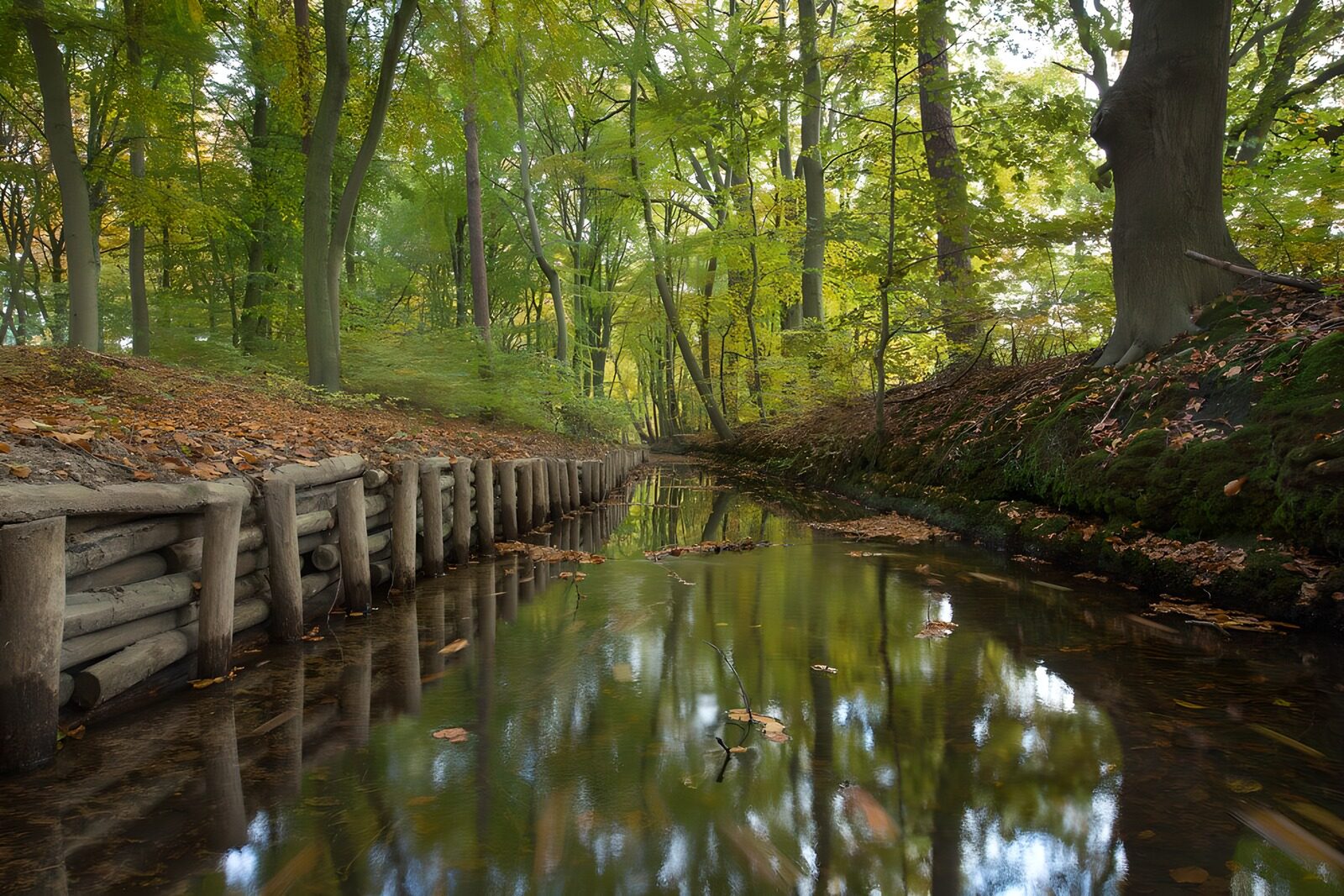 TP51618: Hierdense beek in de herfst