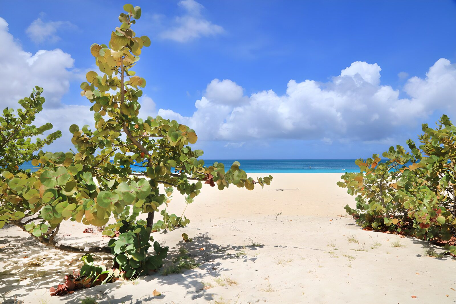 TP89173: Paradijselijke Stranduitzicht