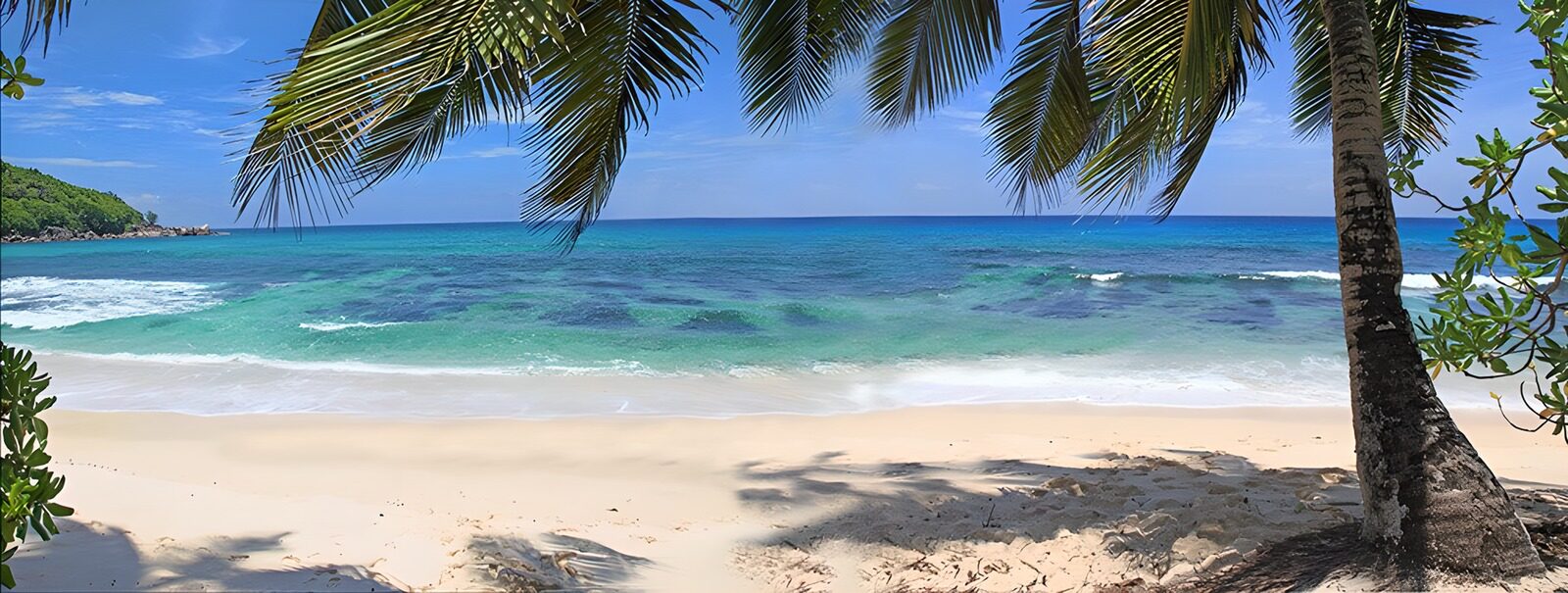 TP12872: Tropisch strand met palmboom