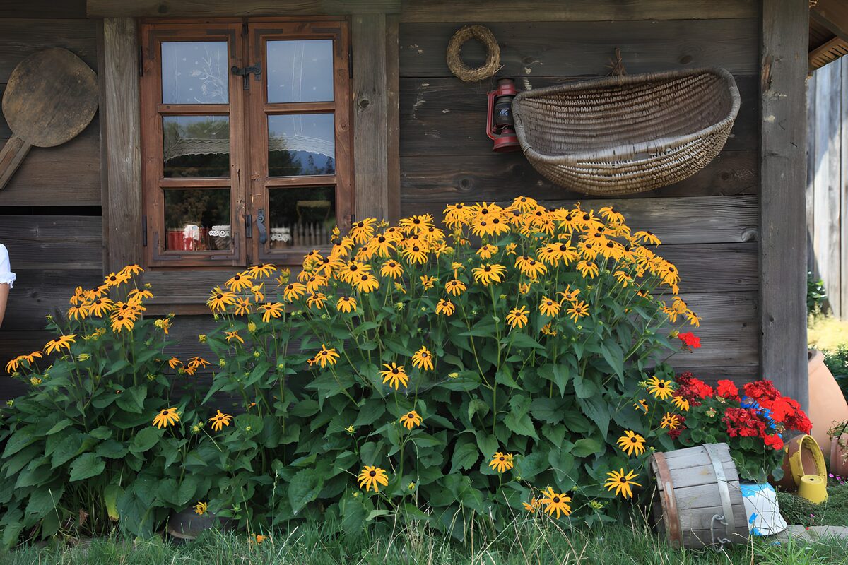 Bloemen voor een houten huisje