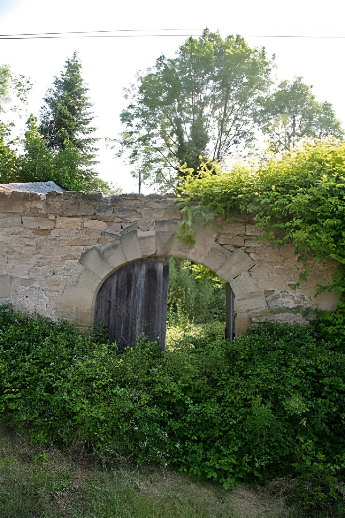Deur in poort met muur met groene begroeiing 3