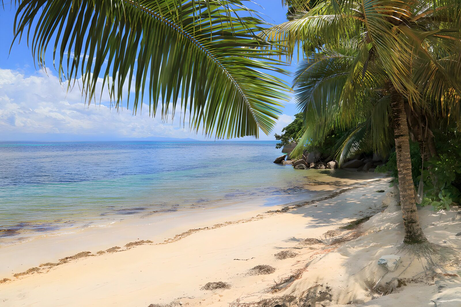 TP16795: Tropisch strand met palmbomen