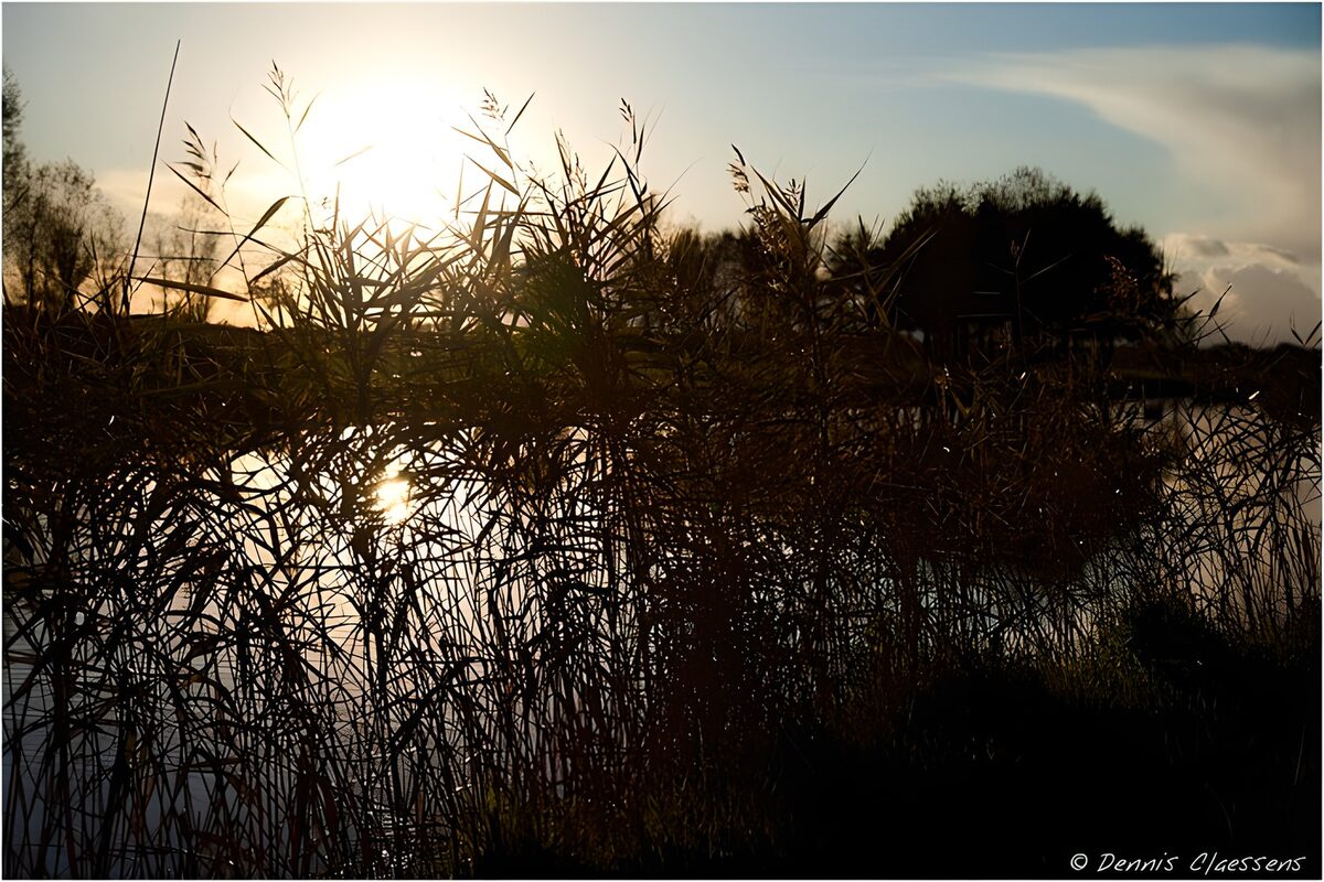 Zonsopgang boven het water