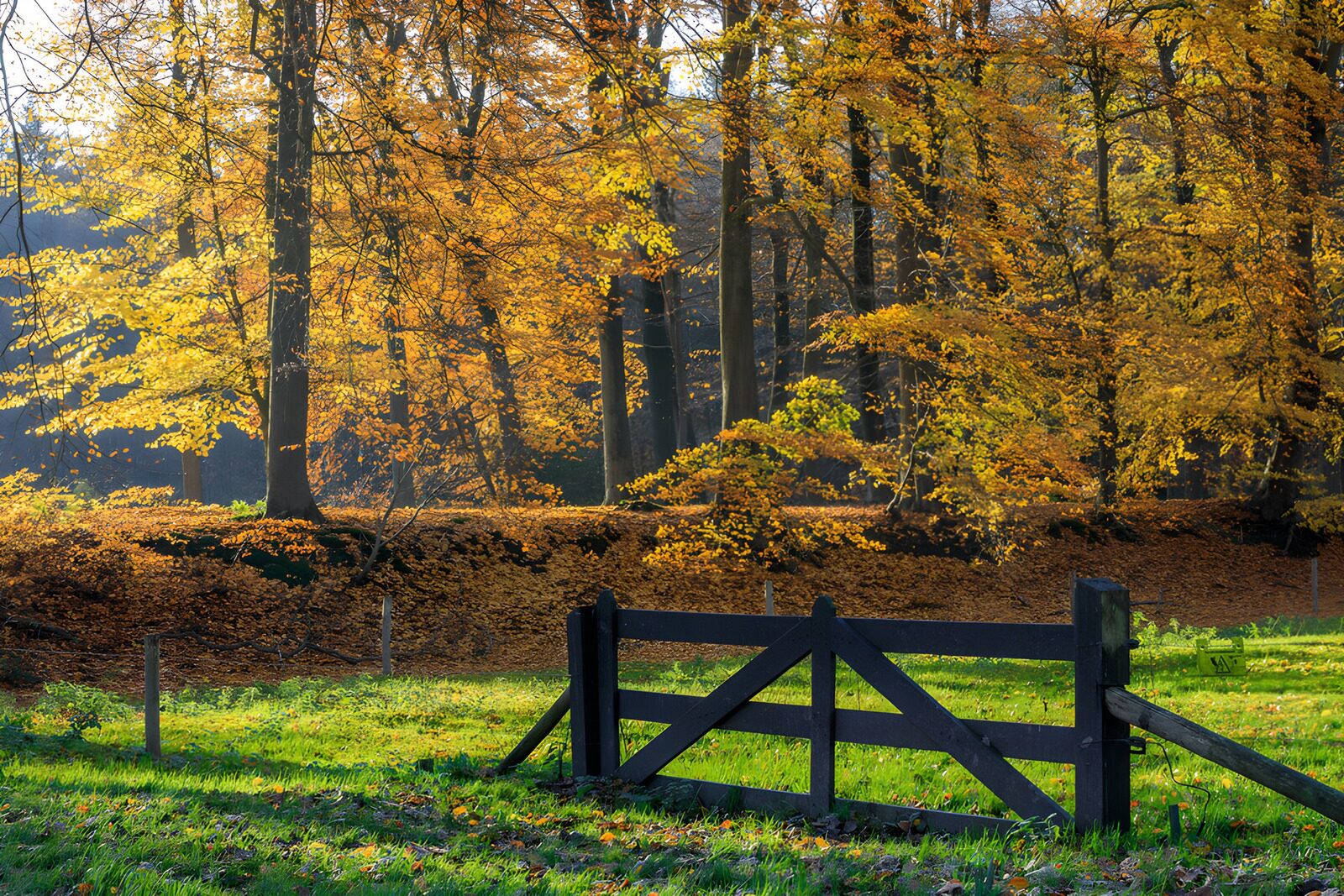 TP83068: Herfstpracht achter het hek
