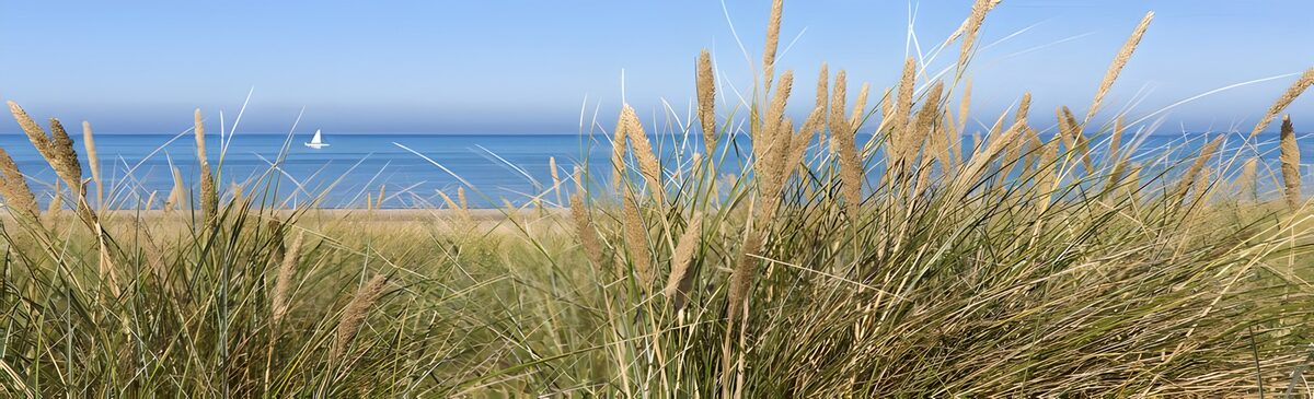 TP35225: Rustige Strandscene met Zeewater