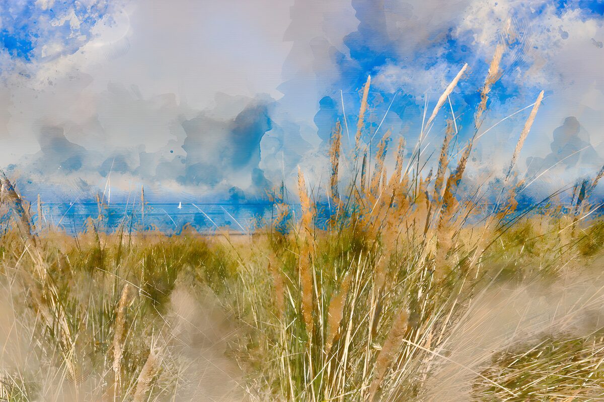 Rustige kustlijn met wuivend gras