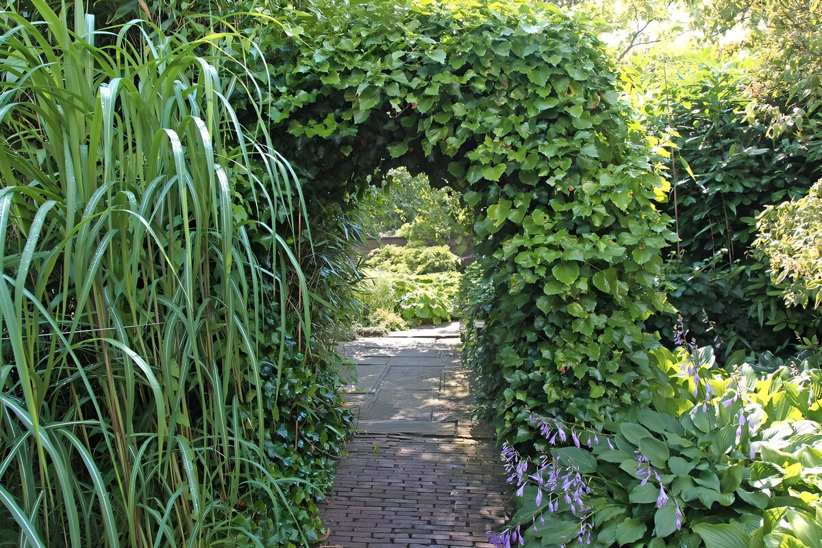 TP12642: Groene Boog in een Prachtige Tuin