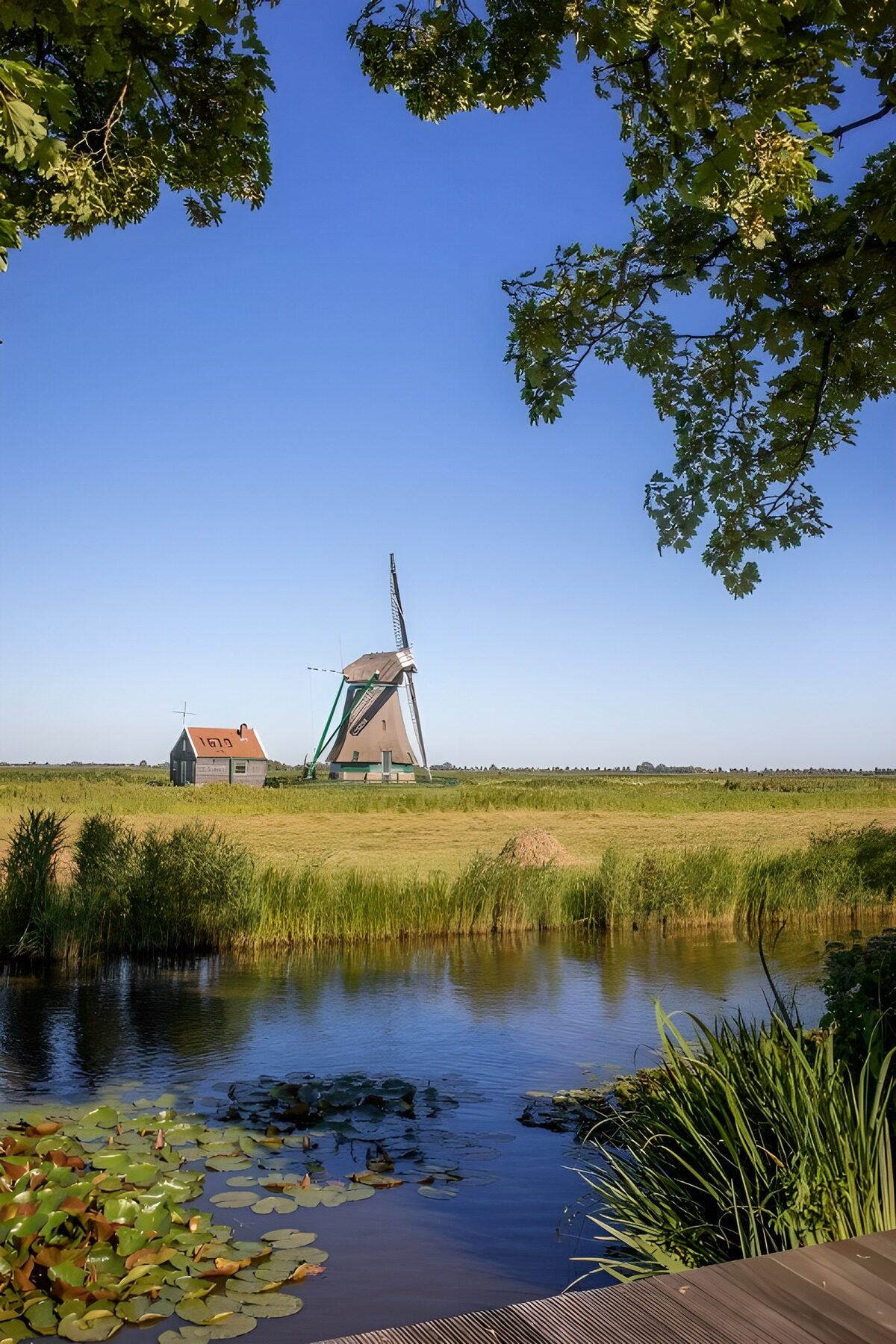 Pittoreske molen aan het water