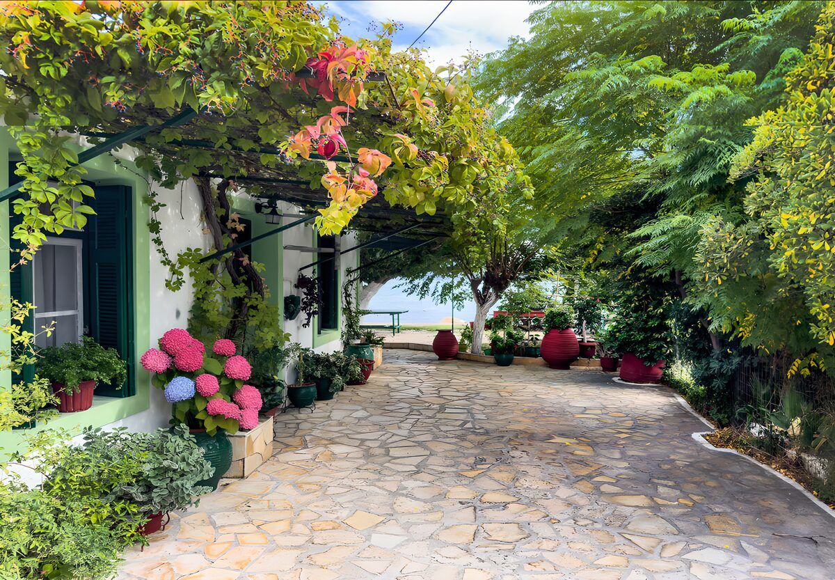 Schaduwrijke patio met hortensia's