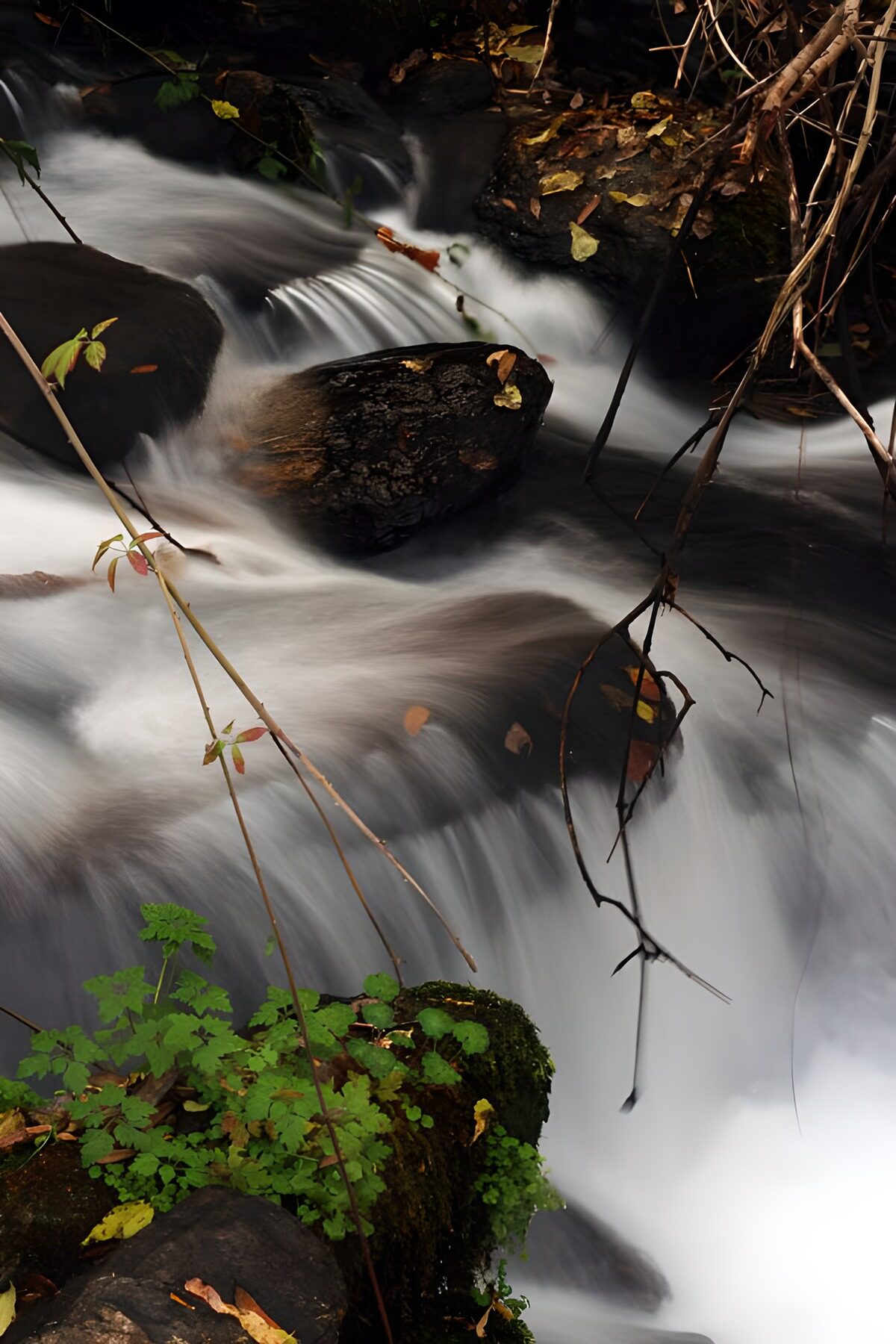 Stromend Water Tussen Rotsen