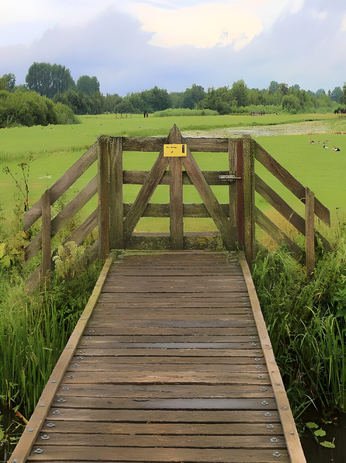 Hekje naar natuurgebied