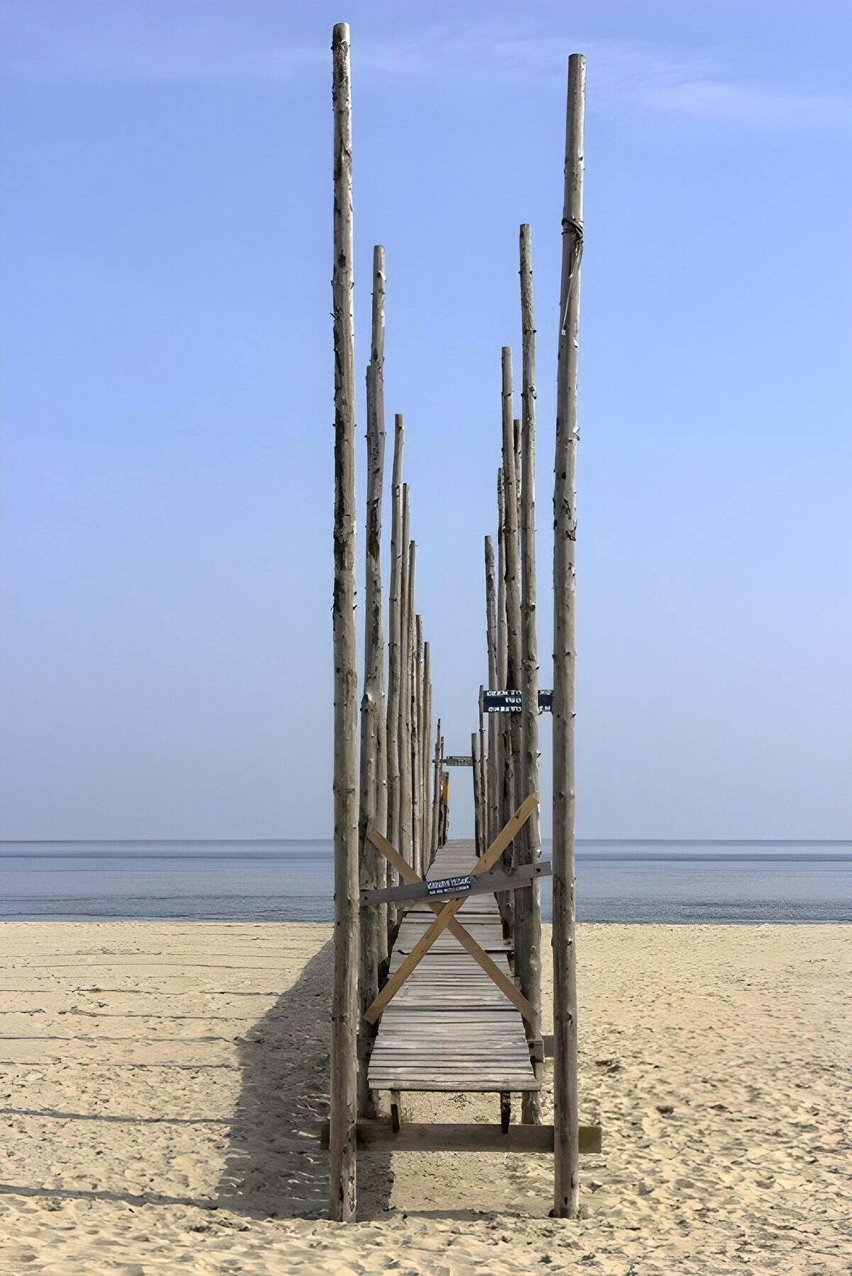 Paarden van het strand