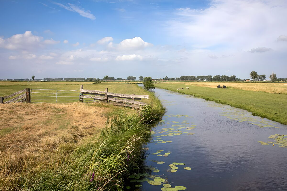 TP10107: Uitzicht op een Hollandse polder